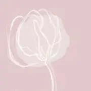 みゅあの画像
