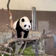 りりーの画像