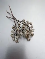 イレブンの画像