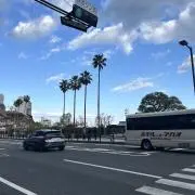 さーちゃんの画像