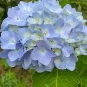 ちか♪プロフお読み下さい