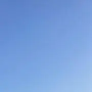 あの画像