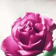 Haaru♡