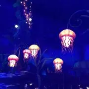 とろろ