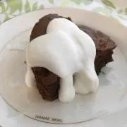 エノキの画像