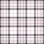 ぽて子の画像