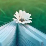 ぶーの画像