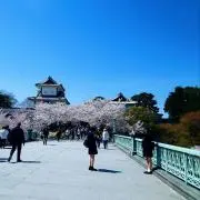 みねむの画像