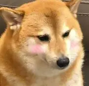 戌神ころね