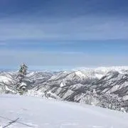 SA★の画像
