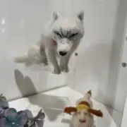 すみの画像