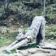 mmkの画像