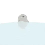 あざらしの画像