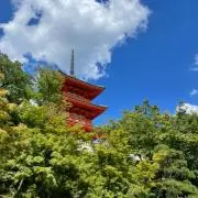 もんたままの画像