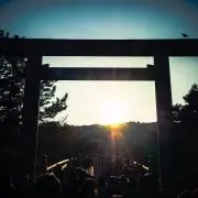 ぴのこ☘️イイネ割引実施中❣️
