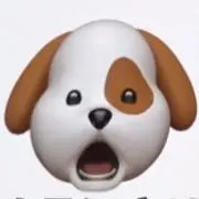 あーやん