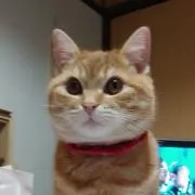 奈々子love