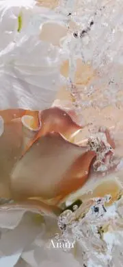 Aの画像