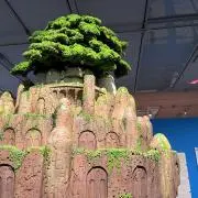tomoの画像