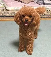 たけちゃん
