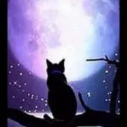 ☆ki ki☆