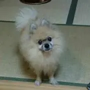 なおとっぽ