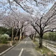 simproの画像