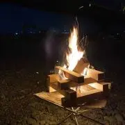 おもちの画像