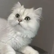 断舍离**価格相談OKの画像