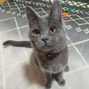 どんどん