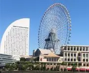 じゅんじゅんの画像