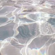 とんの画像
