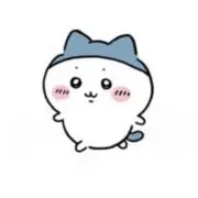 ぴっぴの画像