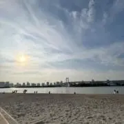 Comの画像