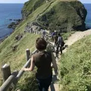 Kinacoの画像