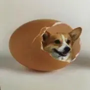 たえ