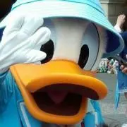 ＊あっぷる＊の画像