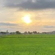 じゃがー