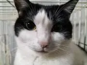Rintaの画像