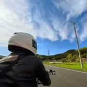Romanの画像