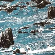 kumaの画像