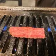 ユトの画像
