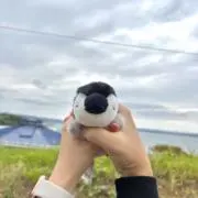 みゆの画像