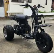 じゃいろの画像
