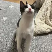 muuuuuuuu