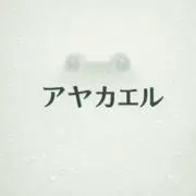 アヤカエルの画像