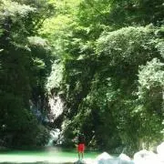 やすらーの画像
