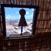 ウーメンの画像