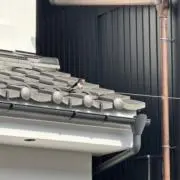 ゆきだるまの画像