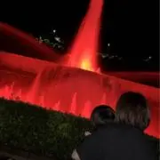 もも　⭐️即日発送⭐️ 即購入⭕️の画像